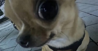 Gabby&#39;s 100 Faves: It&#39;s Books This Time