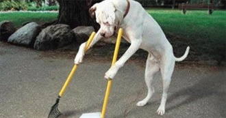 10 Worst Movies of the Decade (2000s)