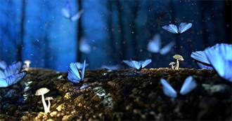 Fairy Tale and Fairy Tale Adjacent Movies