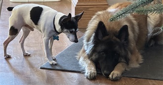 Plan to Read in 2024