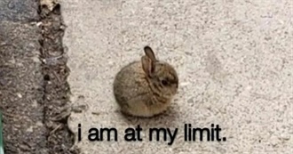 Nat&#39;s Collection