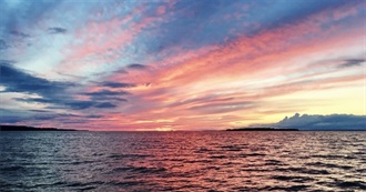 100 Movies That Made Brainspls Feel Something or Maybe Just Laugh