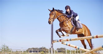 Names of Horses I&#39;ve Ridden