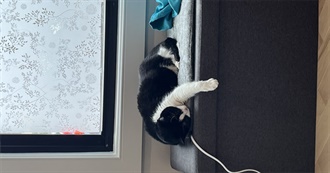 Chash&#39;s Top 100 Books