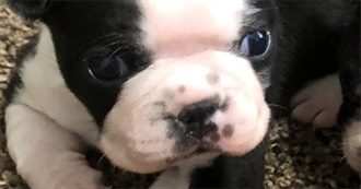 How to Relax for 1 Day