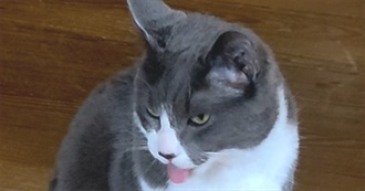 Cato&#39;s Music List