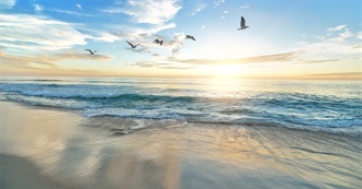 Movies With Scenes at the Beach