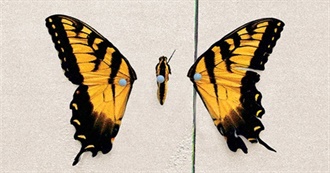 Chance&#39;s Favorite Albums