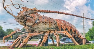 What Each State Is Known for According to the Site &#39;Let&#39;s Roam (3)