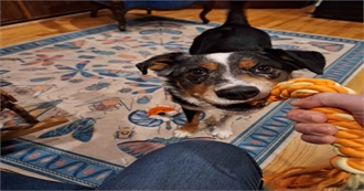 Magicpelagic&#39;s Top 100 Movies