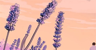 Sogis Top 20 TV-Shows