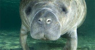 100 Books I&#39;d Recommend