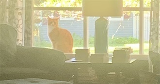 What Goodreads Friends Are Reading- August 2023