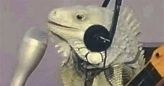 Kewpie Logan&#39;s Top 100 Movies