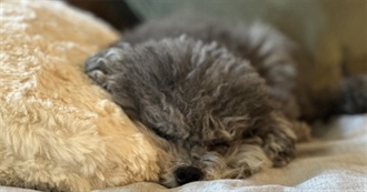 George&#39;s Top Movies