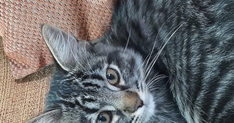 Lista De Livros Da Mariana