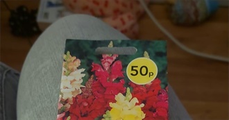 Nikitas Favourite Game Shows