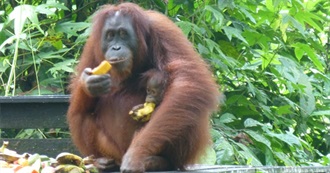 A 100 Places Visited by Craig