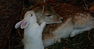 Sloane&#39;s Essential Albums