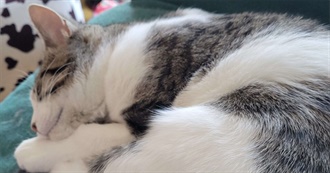 Maxmaxxing: Book Edition