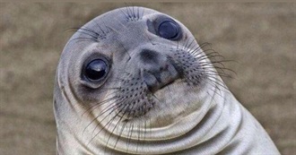 Pherelpis&#39; 70 Albums