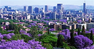 The Most Successful Countries at the World Cup 2010