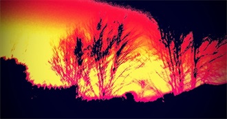 Chrysii&#39;s Random Book List