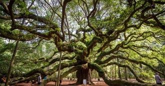 Every Atlas Obscura Site in South Carolina