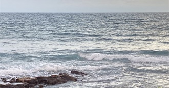 Theredandwhitequeen&#39;s Favorite Movies