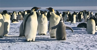 Stylist.Co.UK Presents Winter Films: 28 Non-Christmas Movies Perfect for the Coldest Season of All