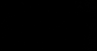 Connor&#39;s Top 10 Favorites: 2024