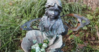 Scalpelsister&#39;s Book Shelf