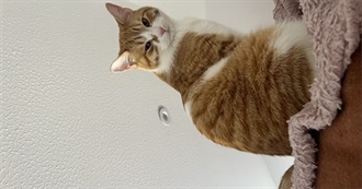 Cx&#39;s Most Something TV Shows