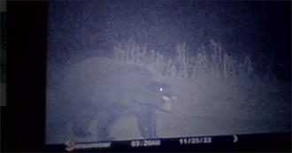 How Many of These Animals Have You Shot