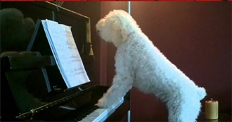 Music Artists From Then and Now