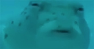 Heather&#39;s 100 Iconic Movies