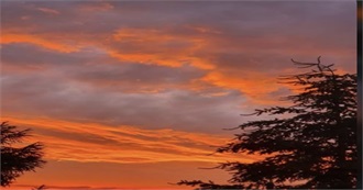 23 Books for Setting Orange