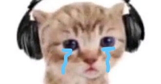 Codie&#39;s Important Music Artists ♬⋆.˚