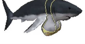 Hyacinthian&#39;s Favorite Bands