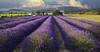 French Regions and Places to See