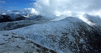 What to Do, What to Read