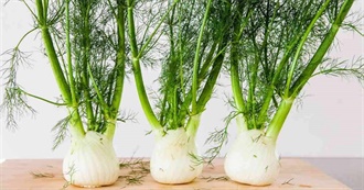 FANCY- FENNEL