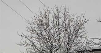 Christmas Movies to Watch This Dull Winter