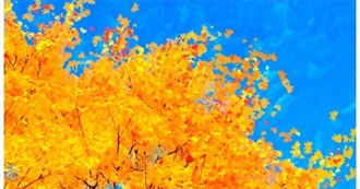 Different Movies Vyzantia Enjoyed