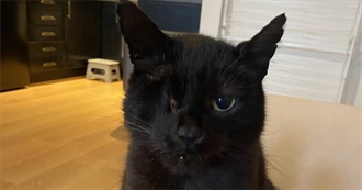 Auadd&#39;s 100 Favourite Moves