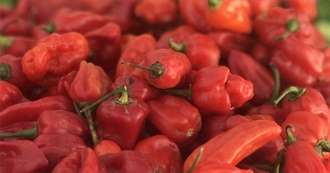 25 Popular Jerk Spice Ingredients