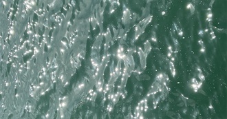 JJ Sleevebuscemii 100 Movies