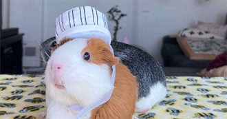 Clarence F Sevys TV Guide