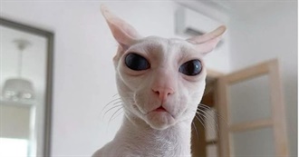 Elliot&#39;s EPIC Top 50 Movies