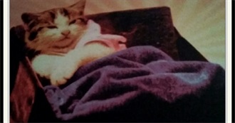 Jensen&#39;s List of the Worst Movies Ever